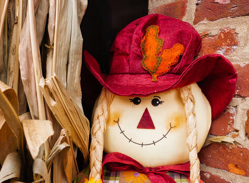 Rag Doll in a typical autumn colors display of brown, red and orange