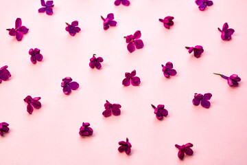 Lilac flowers pattern on pink background
