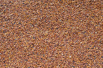 Closed up dry organic red quinoa seed background ready for healthy or diet food cooking