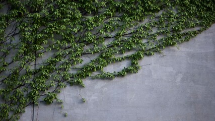 Concrete building in sunset after a sunny day with glare from sun.