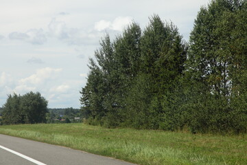 Fototapeta premium Empty Safety lane on European highway roadside with green grass and trees at Sunny summer day