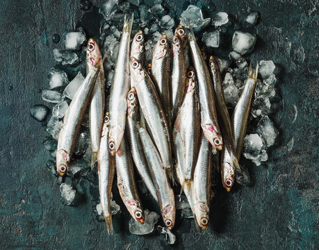 Fresh raw anchovies on ice copy space.