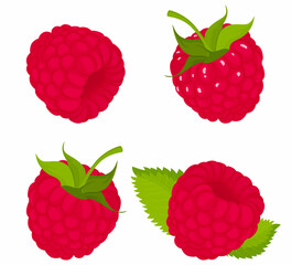 Raspberry, isolated on white bacground. Raspberry vector set, whole and slice of raspberry with green tail and leaf. Flat design