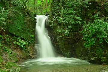 竜王の滝、夏の風景