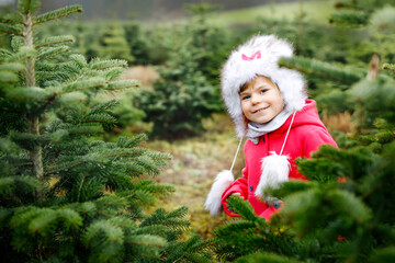 Adorable little toddler girl with Christmas tree on fir tree cutting plantation . Happy child in winter fashion clothes choosing, cut and felling own xmas tree in forest, family tradition in Germany