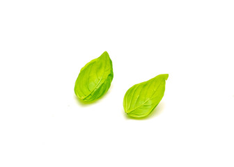Two organic Italian sweet basil (Ocimum basilicum) leaves isolated on white