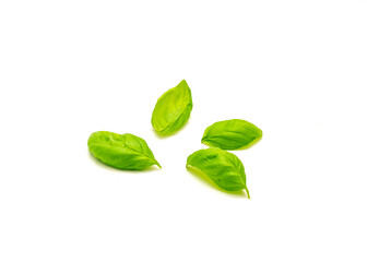 Obraz premium Organic Italian sweet basil (Ocimum basilicum) leaves isolated on white