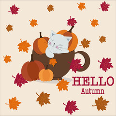 The gray cat in a pumpkin mug. Hello Autumn. 