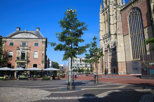 Arnhem (Kerkplein), Netherlands - July 9. 2021: View over square on medieval gothic church entrance, green tree and restaurant cafe in city center