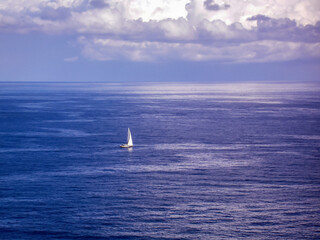sailboat on the sea