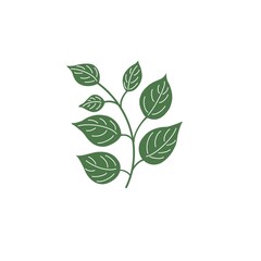 Watercolor illustration of a green twig with leaves on a white background. Pastel colors. For decoration, postcards, design, invitations, books, decorative elements