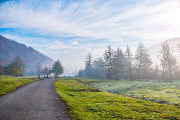 road near a field covered with grass and trees in the fog.