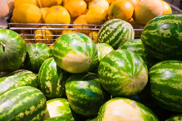 Watermelons and melons
