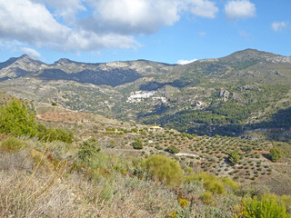 Fototapeta na wymiar Lentegi village in the mountains of Andalucia, Spain 
