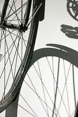 	
bicycle wheel and shadow	