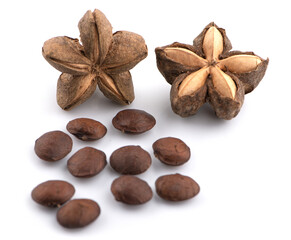 Sacha Inchi on white background, fresh capsule seeds fruit of sacha-Inchi peanut