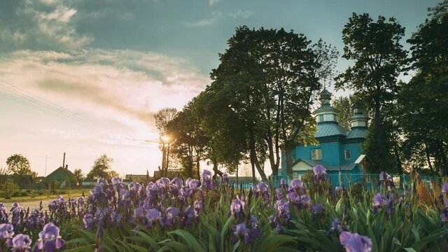 Staraya Belitsa, Uritskiy Sel'sovet , Gomel Region, Belarus. Old Wooden Orthodox Church Of St Nicholas The Wonderworker During Summer Sunset. Orthodox Church Of St. Nikolaya Chudotvortsa