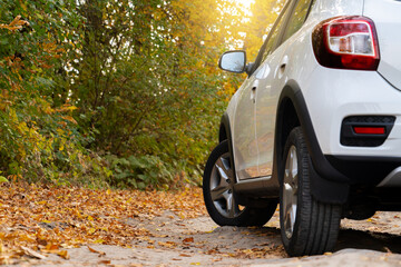 Car on a road in autumn. View from the ground