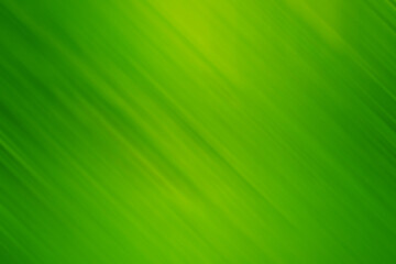 Light green yellow herbal grass solar bright gradient background with diagonal light stripes.Can be used for web pages, cards, brochures, posters, printing.