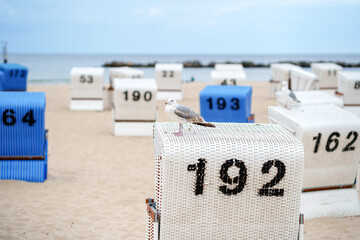 Traditional German roofed wicker beach chairs on the beach of Baltic sea. Beach with chairs on...