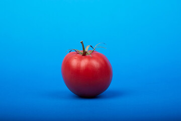 one ripe tomato on a blue background