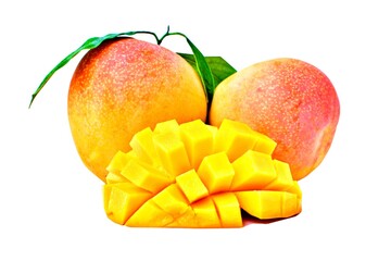 yellow ripe mango isolated on white background