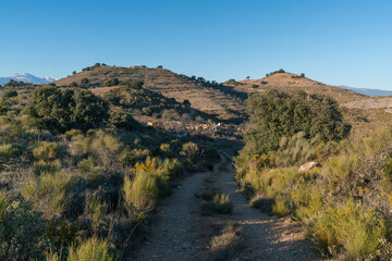 dirt road in the mountain