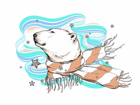 Cute polar bear in a scarf. Animal against the background of the northern lights and stars. Stylish image for printing on any surface
