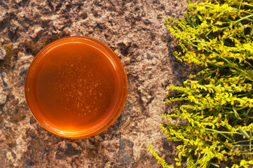 Honey jar with yellow flowers flat lay. 