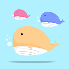cute whale cartoon flat design