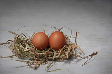 Chicken egg on straw in the nest.