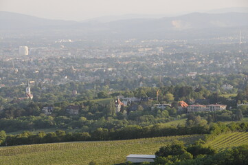 Fototapeta na wymiar Blick auf Wien vom Leopoldsberg, Österreich, 25.05.2012