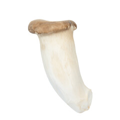 Fototapeta premium Pleurotus eryngii or King Oyster Mushroom isolated white background.