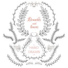 Branches and leaves nature hand-drawn elements set