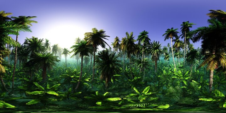Jungle in the morning, HDRI, environment map , Round panorama, spherical panorama, equidistant projection, panorama 360, 3d rendering
