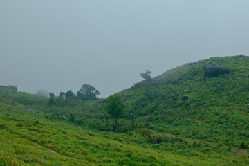 White Misty Green grass mountain