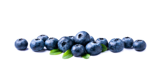 Fresh blueberries with leaves isolated on white background and a copy space for text on your food banner.