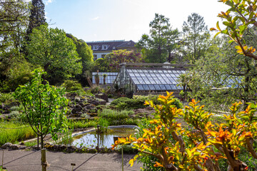 Exotical plants in the Botanischer Garten der Universität Basel (botanical garden of the university of basel) in Basel, Switzerland