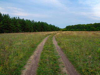 A dirt road along the edge of the forest in a field, in the evening on a summer day.