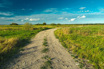 Gravel road and meadows