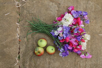 Close up of sweet pea flower stems, in full bloom the beautiful scented petals in pinks white purple and violet flat lay on stone with apples home grown in English country organic garden in Summer