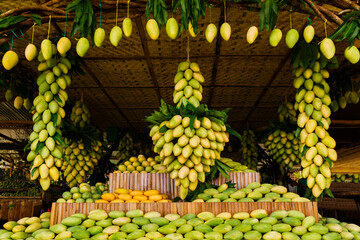 Mango festival. Stand with fresh yellow mango fruits in the street market.