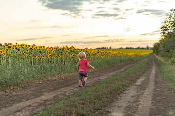 A little girl walks along a dirt road next to a field of sunflowers.
