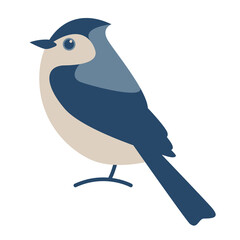 blue jay bird, vector illustration, flat style,side