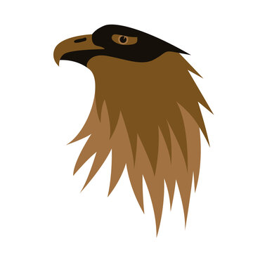 eagle face head, vector illustration, flat style, front