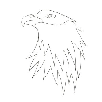 eagle face head, vector illustration, lining draw, front