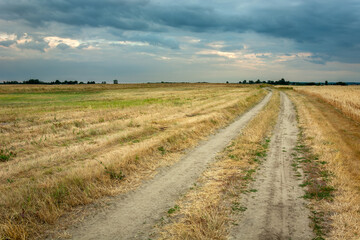 Fototapeta na wymiar Dirt road through fields and cloudy sky