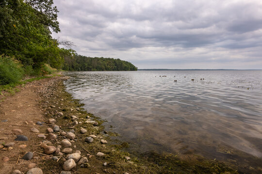 Lake Bemidji - A scenic lake landscape