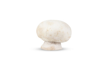 Champignon mushroom on isolated white background