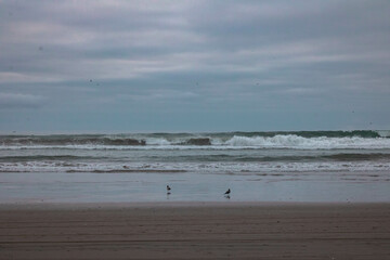 Mar de La Serena, Avenida del mar, Chile
